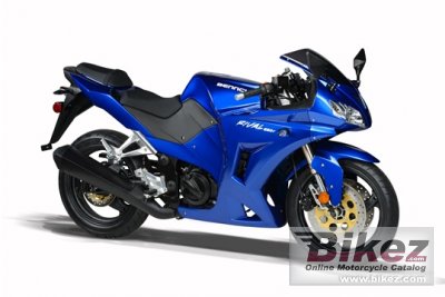 2013 Bennche Rival 250 r photo